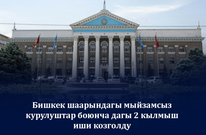  Бишкектеги мыйзамсыз курулуштар боюнча 2 кылмыш иши козголду