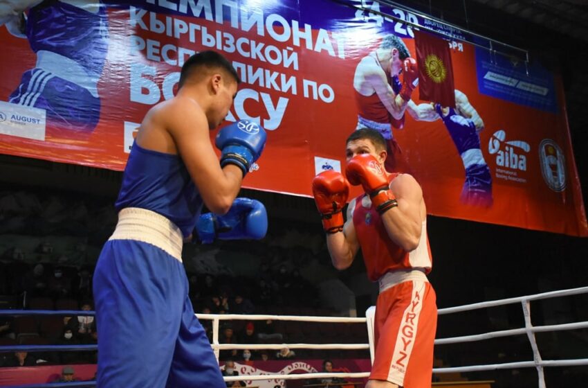  В Бишкеке пройдет чемпионат Кыргызстана по боксу