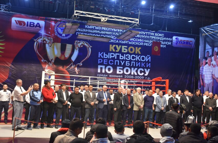  Андрей Курнявканын бейгесине арналган бокс боюнча Кыргызстандын кубогу старт алды