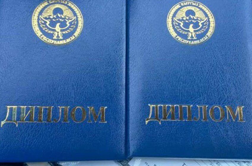  ГКНБ: Начальник УМС мэрии города Талас использовал поддельный диплом