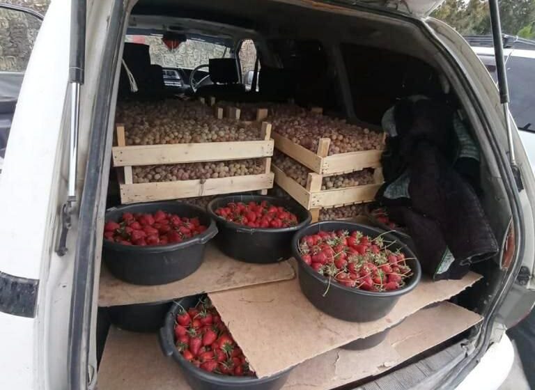  За 5 дней пограничники Баткенской области пресекли несколько попыток незаконного провоза контрабандных грузов
