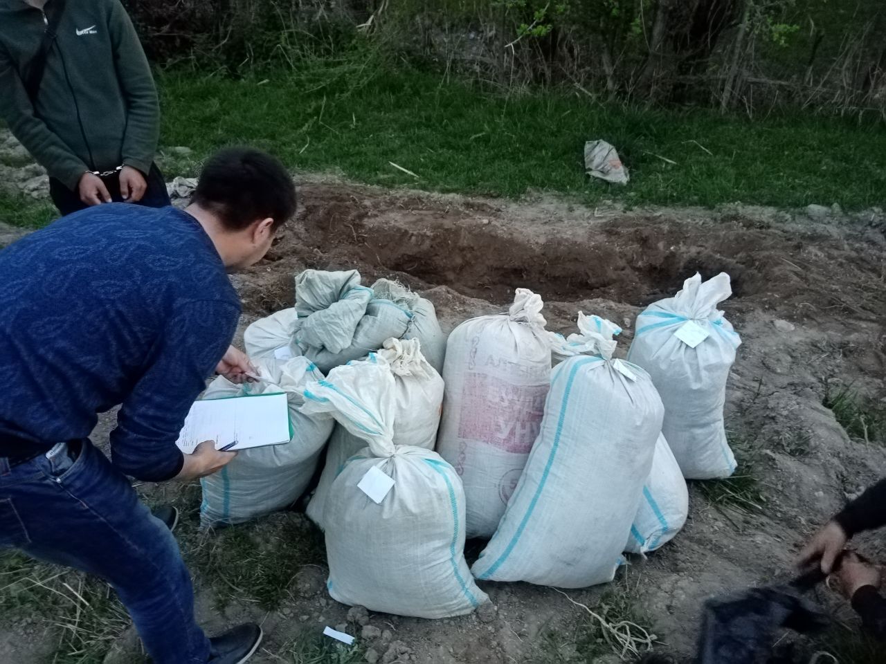 В Токтогуле сотрудники СБНОН нашли в огороде частного дома тайник с 70 кг  конопли — ELTR