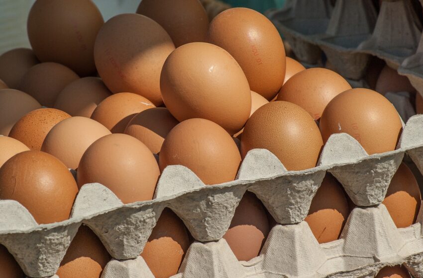  С начала года в стране произведено более 200 млн яиц