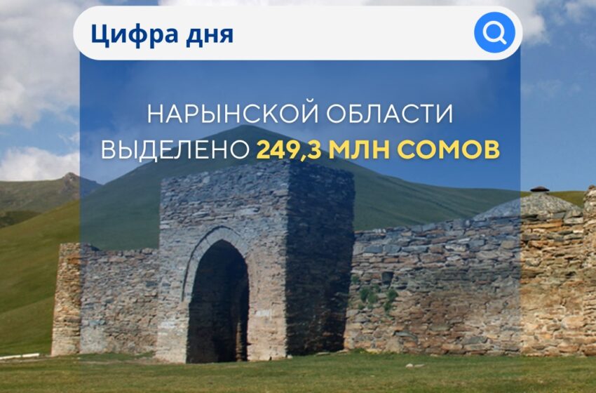 С начала года Нарынской области из бюджета выделено 249,3 млн сомов
