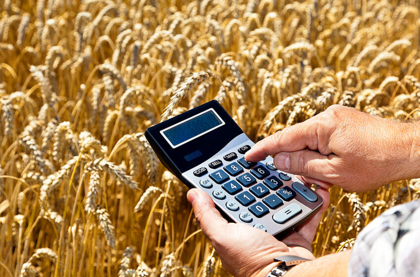  В рамках проекта «Финансирование сельского хозяйства — 12» с начала года выдано кредитов на 26,3 млн сомов