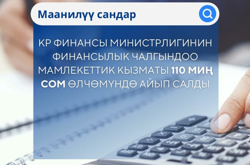  Финансылык чалгындоо мамлекеттик кызматы 110 миң сом өлчөмүндө айып салды