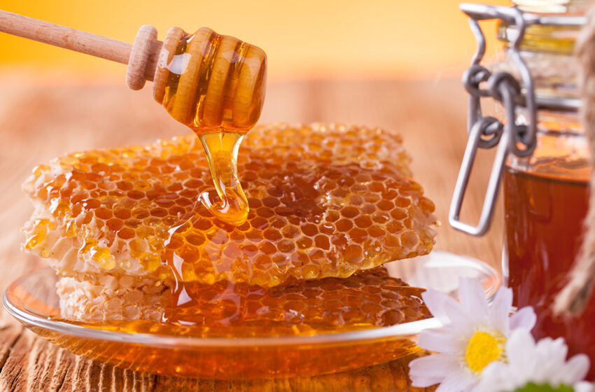  Кыргызский мед признан самым инновационным продуктом на выставке в Абу-Даби