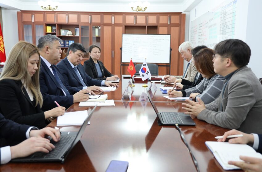  Кыргызстан и Корея реализует проект по генетическому улучшению КРС и наращиванию потенциала искусственного осеменения