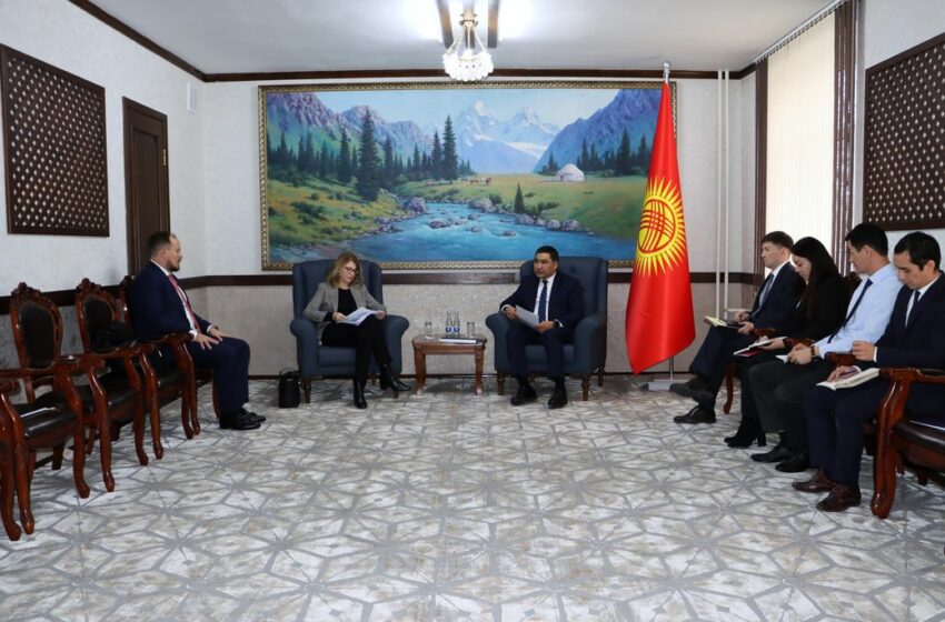  Компания Rotschild and Co заинтересована в сотрудничестве с Кыргызстаном