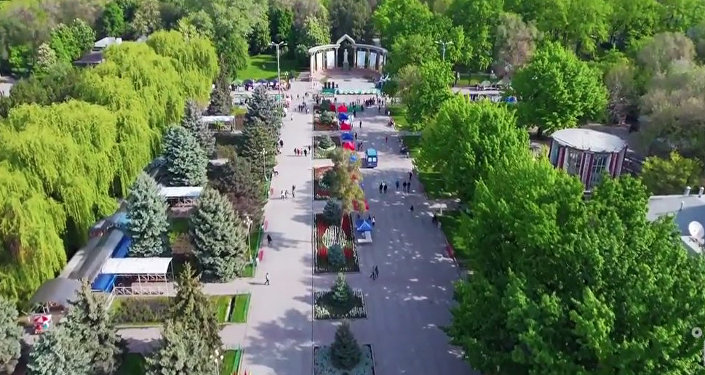  Бишкекте илимий сунуштарды эске алуу менен көчөттөрдүн жаңы түрлөрүн отургузуу каралат