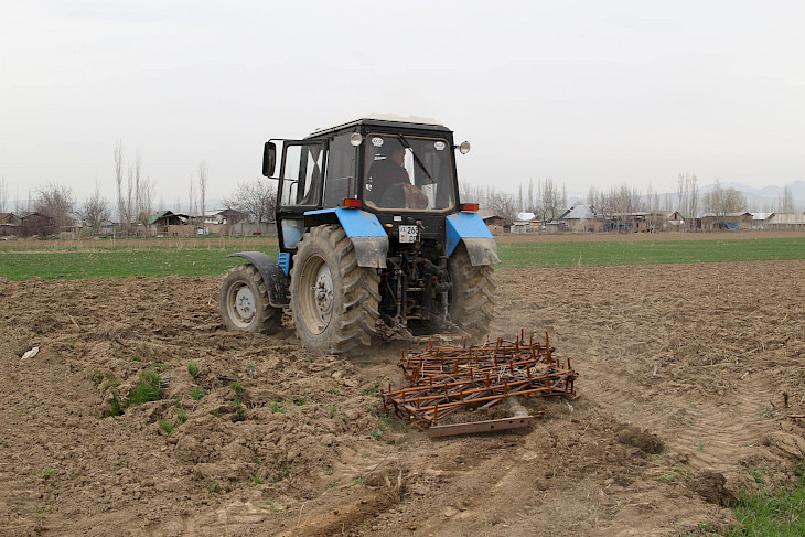 В Джалал-Абадской области 4,4 тыс. гектаров засеяли рисом