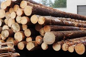  Кыргызстан ввел временный запрет на вывоз древесины и лесоматериалов