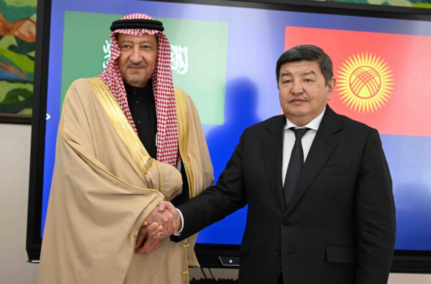  Акылбек Жапаров принял заместителя министра иностранных дел Саудовской Аравии Валид Аль-Хурейжи
