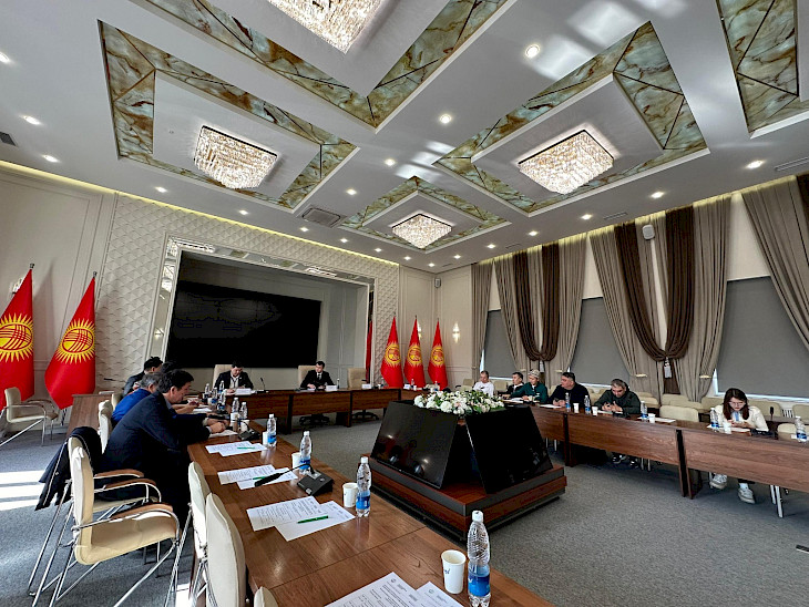  В Бишкеке обсудили увеличение количества авиарейсов в КР для стимулирования потока туристов