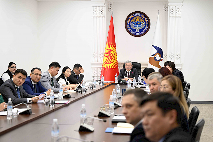  Адылбек Касымалиев принял участие в очередном заседании Совета ЕЭК в режиме ВКС