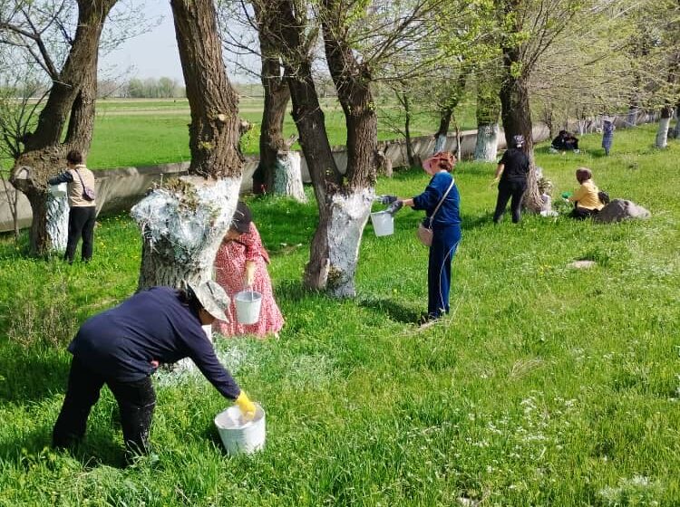  Жители Чуйской области в «Национальный день чистоты» собрали более 960 тонн мусора