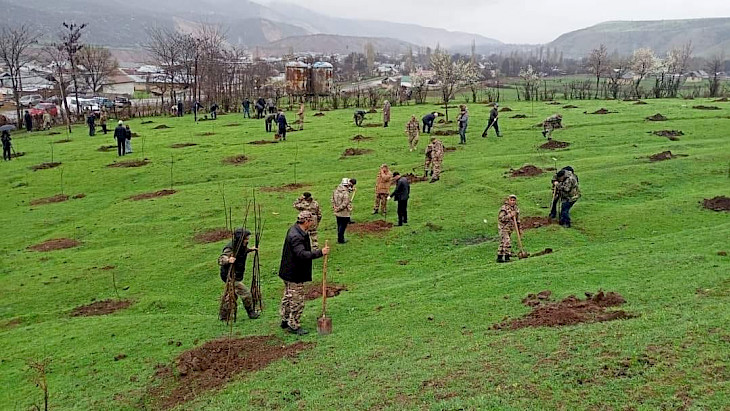  Жалал-Абад облусунда 8 миң түп жаңгак көчөтү отургузулду