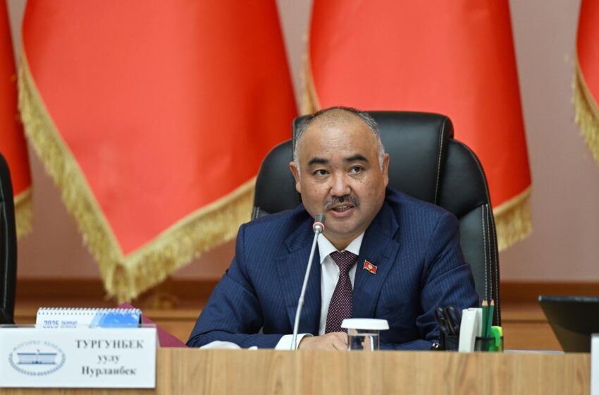 Токой чарбасын жана экология маселесин тейлеген агенттик түзүү сунушталды