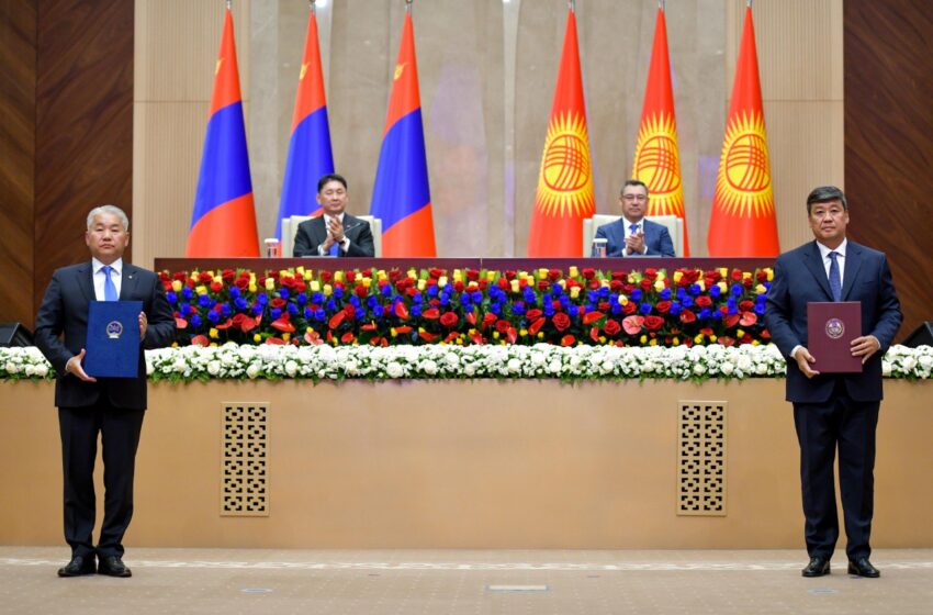 Кыргызстан менен Монголия жүндү кайра иштетүү тармагында кызматташат