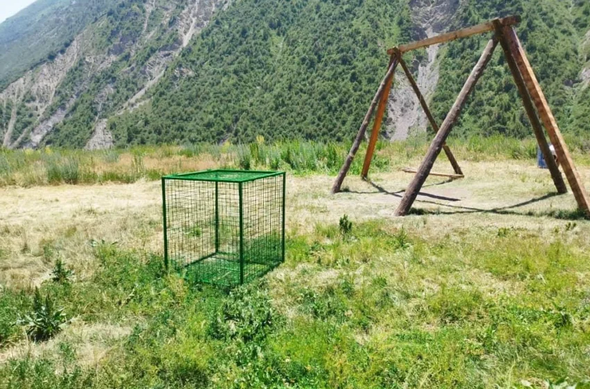  Нарындын жаратылыш аймактарында желимге каршы күрөш күчөтүлдү