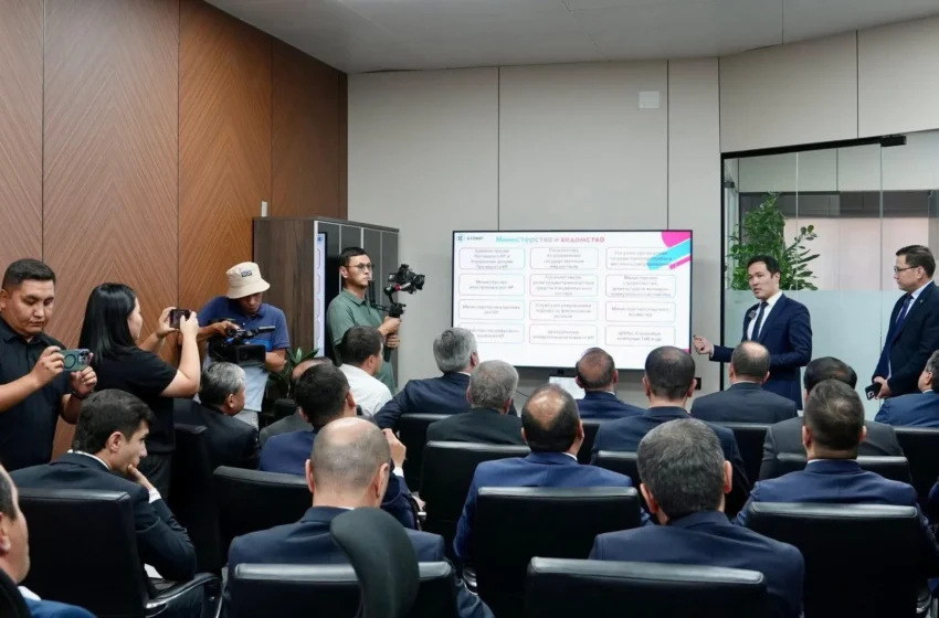  Тажикстан Кыргызстандын санариптештирүү жаатындагы тажрыйбасын үйрөнүүдө