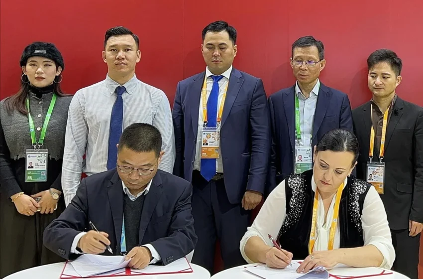  Кыргызстандан Кытайга 60 тонна табигый бал жеткирүү боюнча келишимге кол коюлду