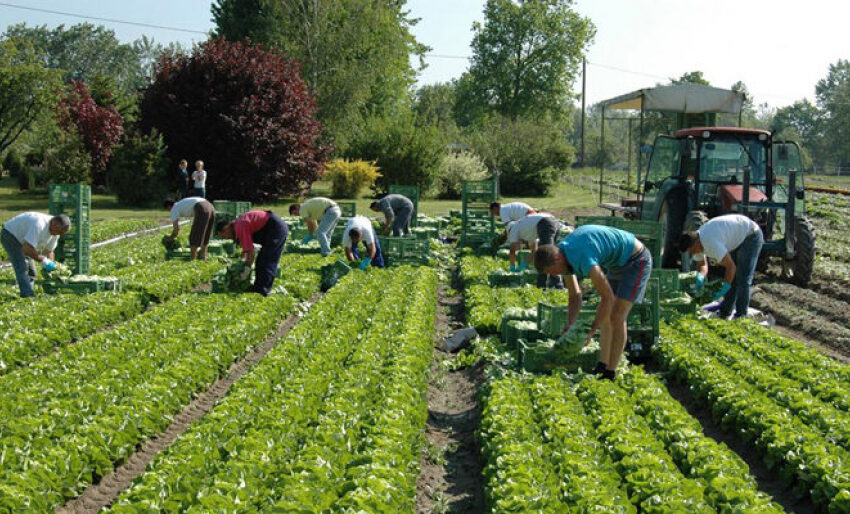  Кабмин КР утвердил перечень сезонных работ