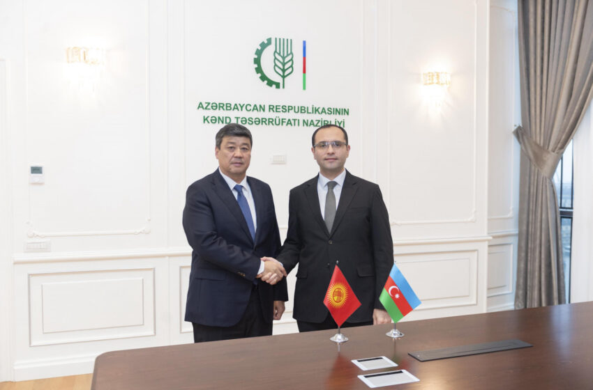  Бакыт Төрөбаев Азербайжандын Айыл чарба министри менен жолукту