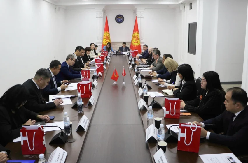  МИД представил программу сотрудничества Кыргызстана и Швейцарии на 2026–2029 годы