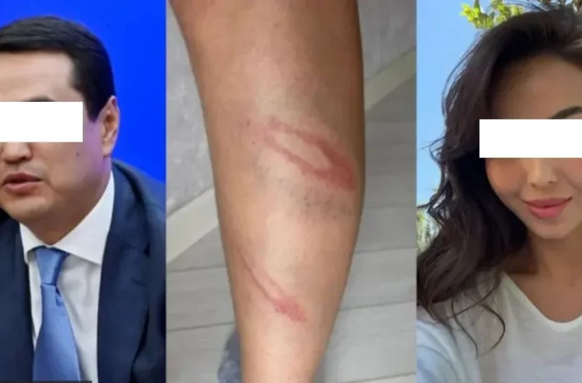  Жогорку Кеңештин депутаты үй-бүлөлүк зомбулукка шектелүүдө