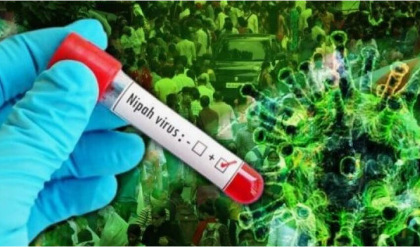  На границе Кыргызстана усилен санконтроль для предупреждения завоза вируса Нипах