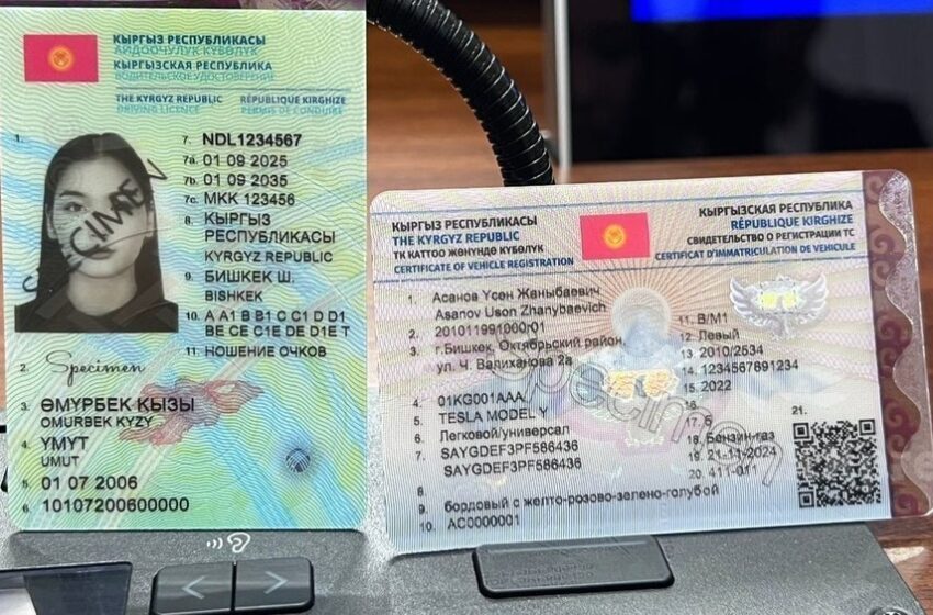  Президент: Жаңы үлгүдөгү айдоочулук күбөлүктү жасалмалоо мүмкүн эмес