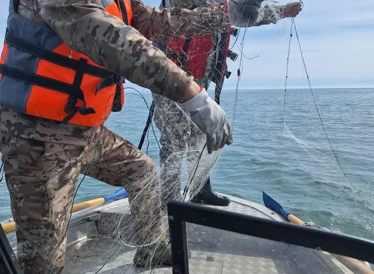  Ысык-Көлдө рейд: 200 метр тор жана 60 кг таштанды чыгарылды