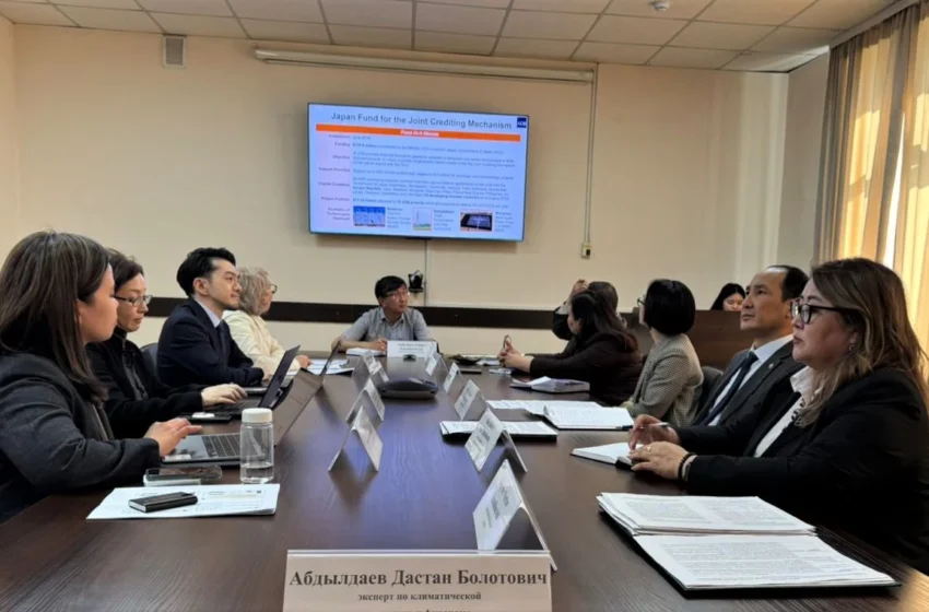  Кара-Балтада таштанды япон ыкмасы менен кайра иштетиле баштайт