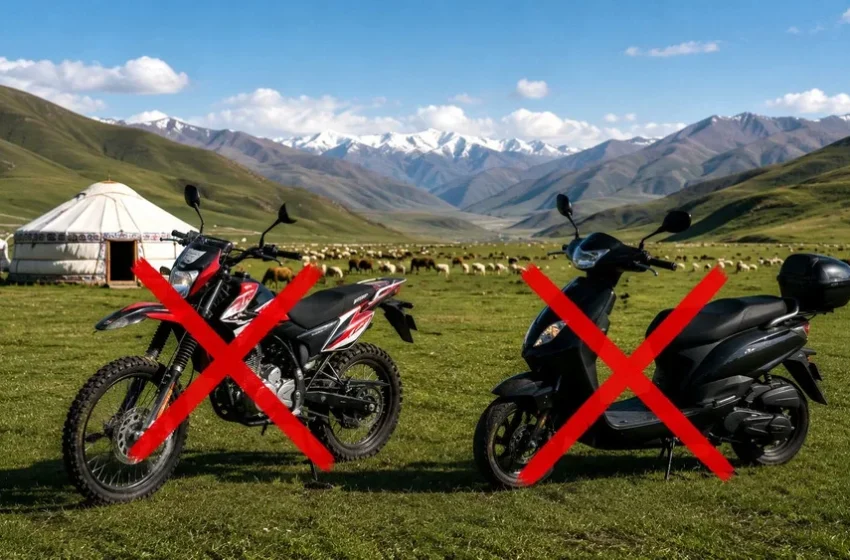  Парк, пляж, жайытта мототранспорттун жүрүүсүнө тыюу салынды