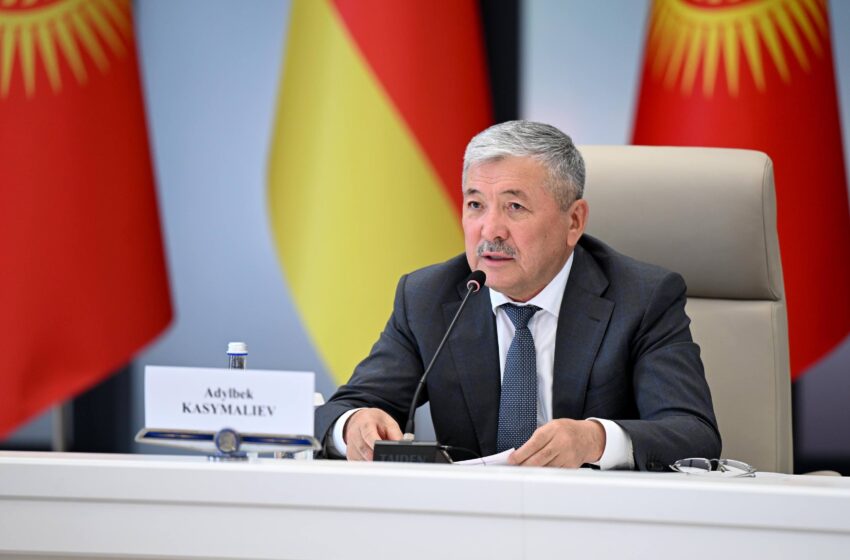  Кыргыз-герман ишкердик кеңешинин отуруму өттү